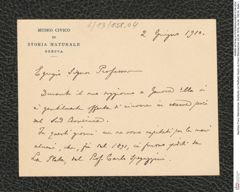 Nachlass Franz Steindachner, Briefkarte von Raffaelo Gestro an Franz Steindachner (02.06.1910), Inv.Nr. 158.04, Seite 1